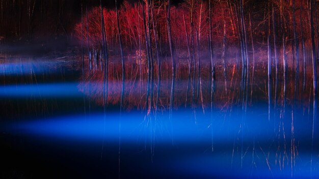 Foto reflectie van bomen in het meer's nachts