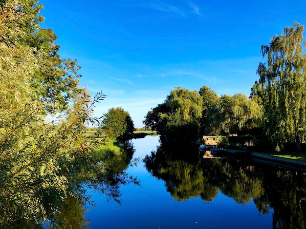 Foto reflectie van bomen in het meer tegen de blauwe hemel