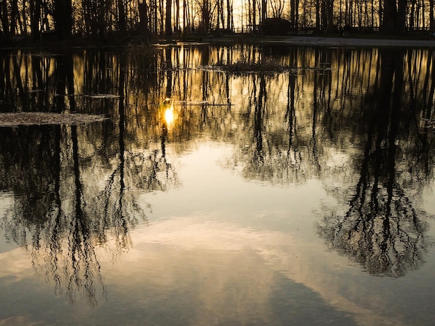 Foto reflectie van bomen in het meer tegen de lucht bij zonsondergang