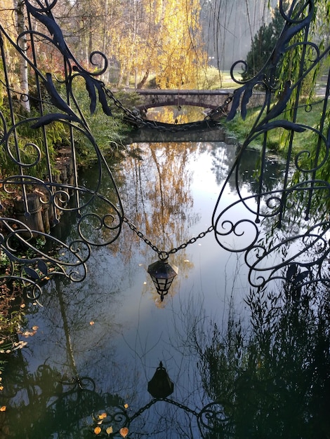 Foto reflectie van bomen in het meer