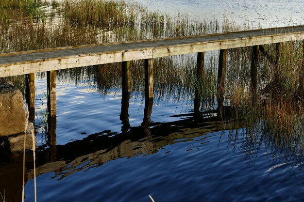 Foto reflectie van bomen in het meer