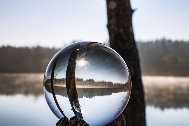 Foto reflectie van bomen in het water