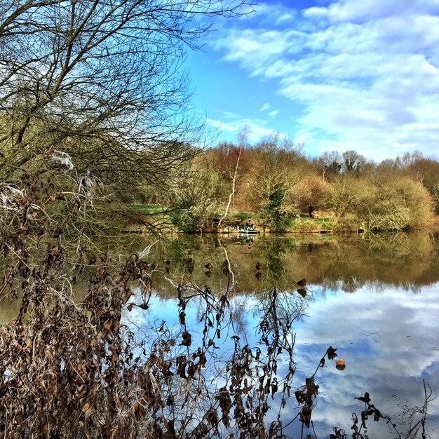 Foto reflectie van bomen in het water