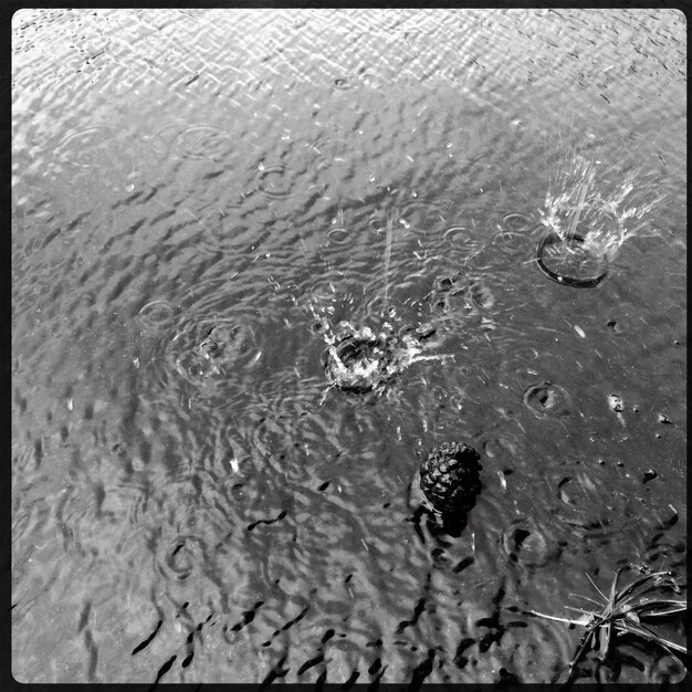 Foto reflectie van bomen in het water