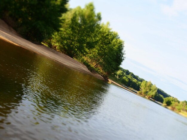 Foto reflectie van bomen in het water