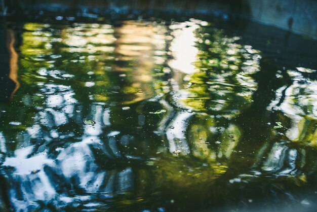 Foto reflectie van bomen in het water