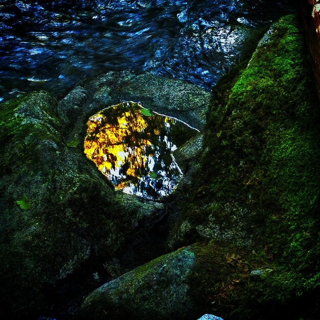 Foto reflectie van bomen in het water