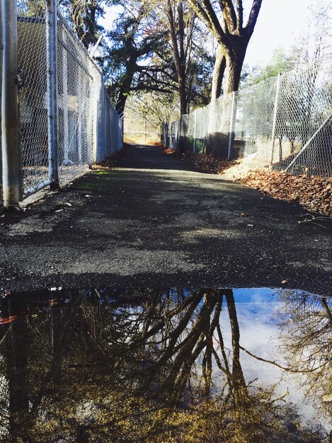 Foto reflectie van bomen op de plas