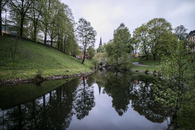 Reflectie van bomen op de rivier tegen de lucht