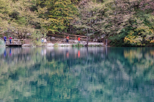 Foto reflectie van bomen op het meer in het nationale park plitvice lakes