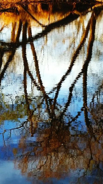 Foto reflectie van bomen op het meer