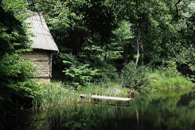 Foto reflectie van bomen op water