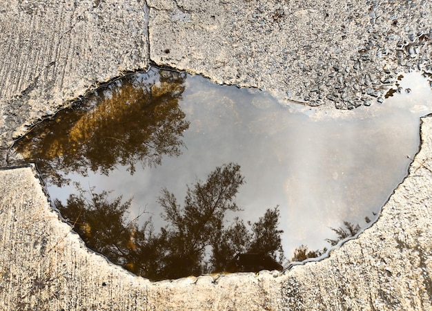 Foto reflectie van een boom en lucht in een diepe herfstplas