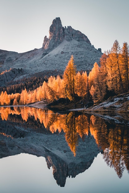 Reflectie van een boom in het meer tegen een heldere hemel in de herfst
