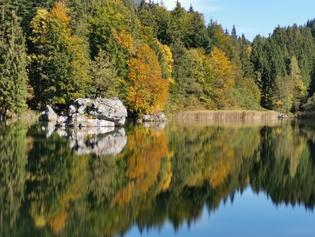 Reflectie van herfstbomen in het meer