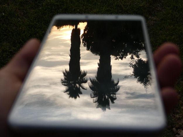 Foto reflectie van palmbomen in een mobiele telefoon die in de hand wordt gehouden