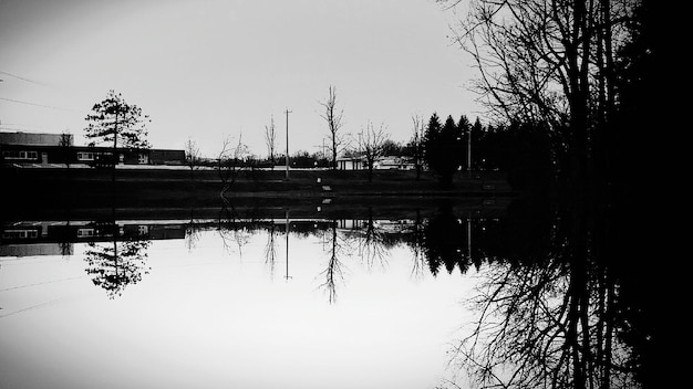 Foto reflectie van silhouetten van bomen in het meer tegen een heldere lucht