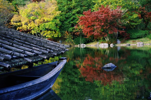 Reflection of autumn trees in lake