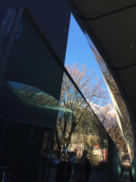 Reflection of bare tree and sky on glass building