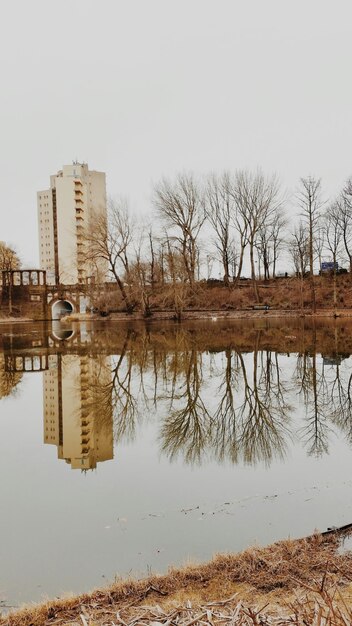 Photo reflection of bare trees and building on calm river