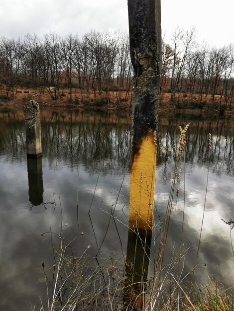 Reflection of bare trees in lake against sky