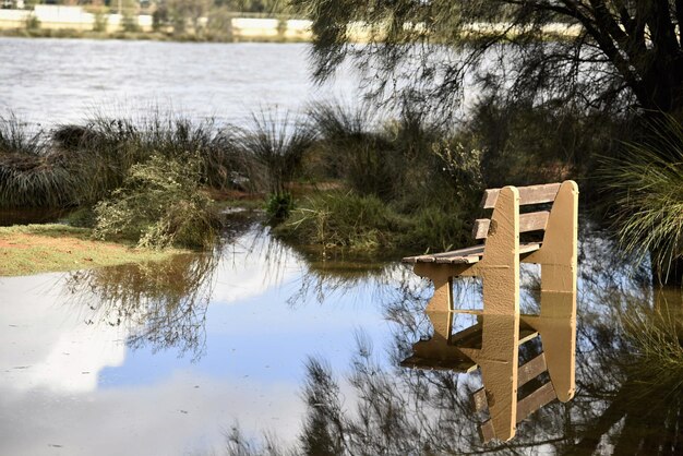 Reflection of bench in water