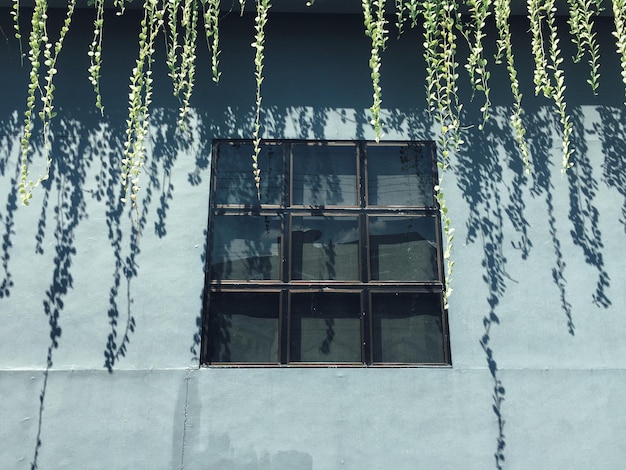 Reflection of building on glass window