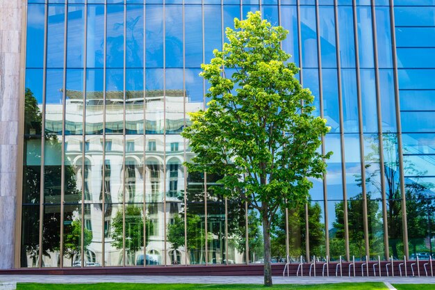 Foto riflesso dell'edificio sulla finestra di vetro