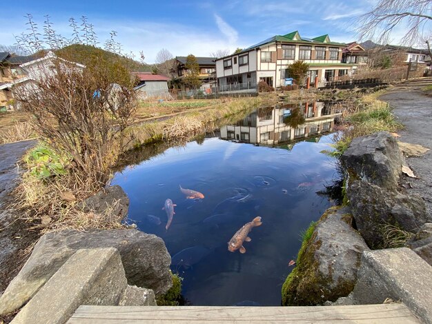 湖上の建物の反射