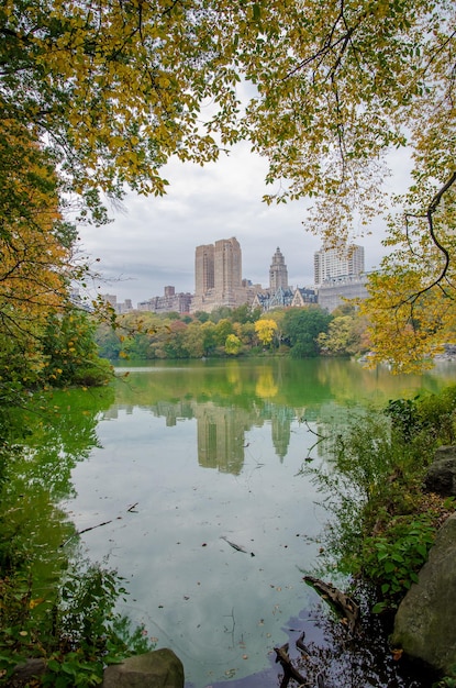 Photo reflection of buildings in river