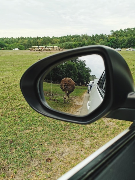차량의 측면 시야 거울에 반사