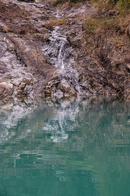 澄んだ水と水中の生き物の反射