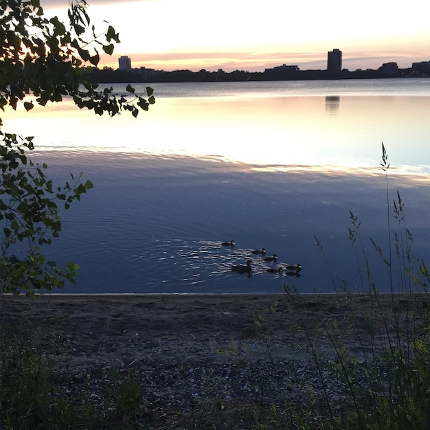 Reflection of clouds in calm lake