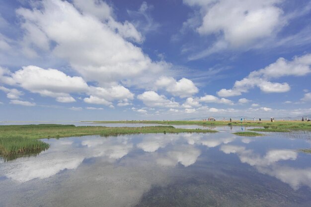 湖の雲の反射