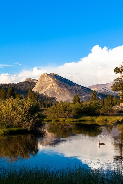 Reflection of clouds in lake