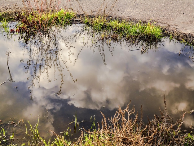 Foto il riflesso del cielo nuvoloso in una pozzanghera