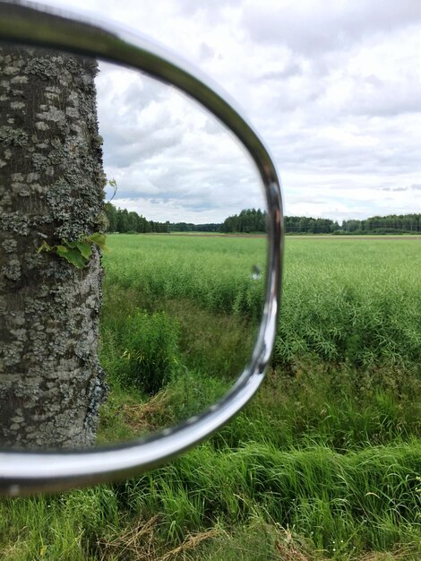 Reflection of crops on side-view mirror