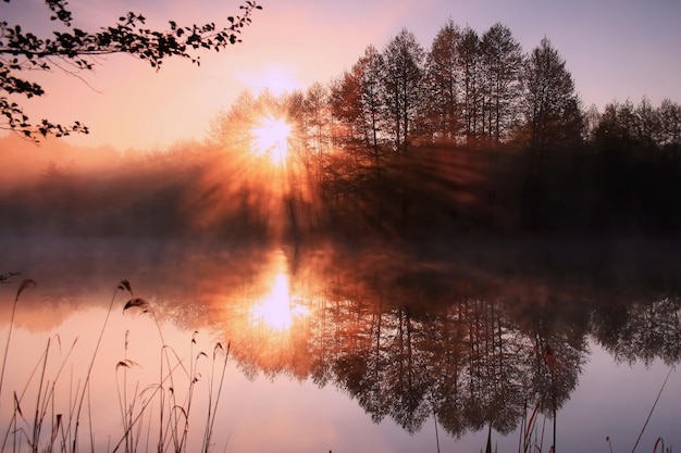 Reflection of the first rays of the sun in a misty forest lake