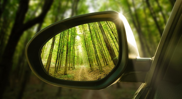 The reflection of the forest in the mirror of an expensive car