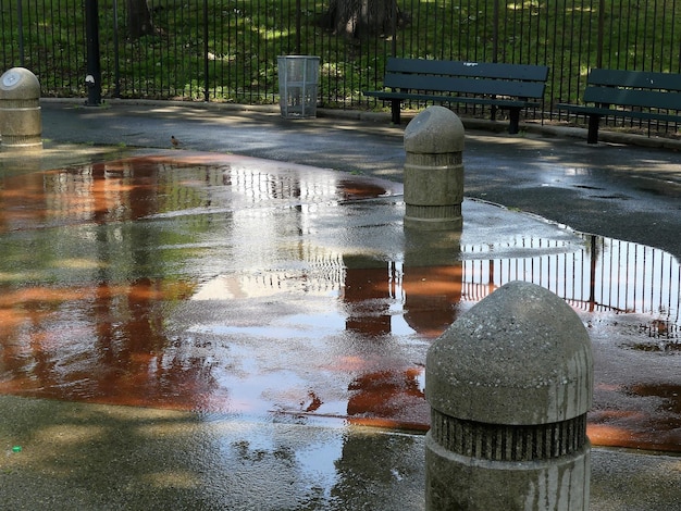 Фото Отражение в воде