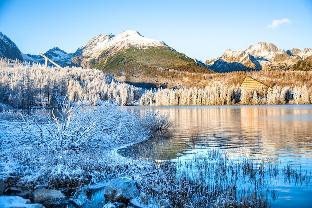 冬の高タトラ スロバキア Strbske pleso の山の湖の反射