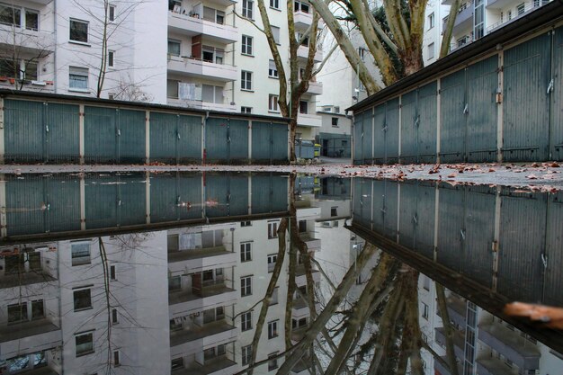 Фото Отражение зданий в луже на озере