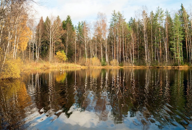 Фото Отражение осеннего берега в воде лесного озера.