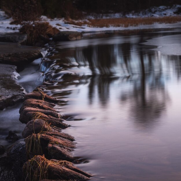 Фото Отражение дерева в воде