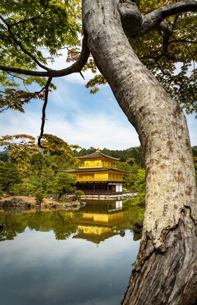 写真 空に反射する湖の木