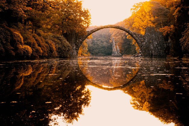 Фото Отражение деревьев в реке