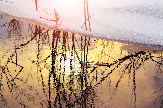 日没時の冬の川の水、川岸の雪の反射