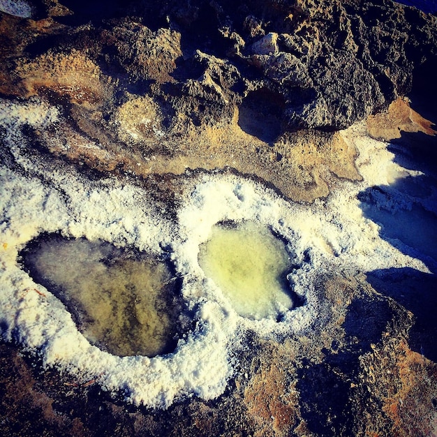 Фото Отражение деревьев в воде