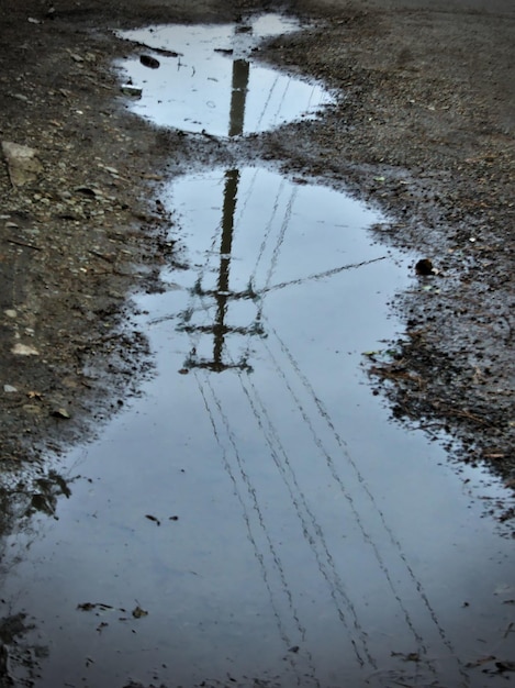 Фото Отражение деревьев в воде