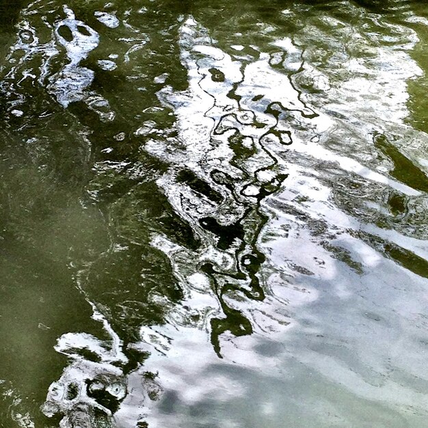 Фото Отражение деревьев в воде